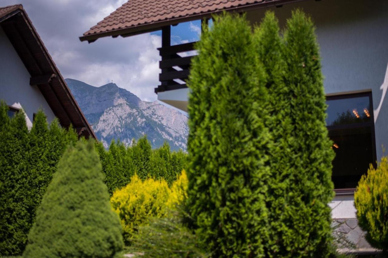 Jack Residence Busteni Exterior photo